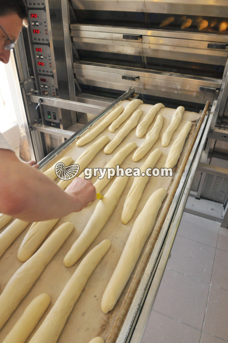 Fabrication du pain - Signature du pain avant cuisson des baguettes - gryphea.com
